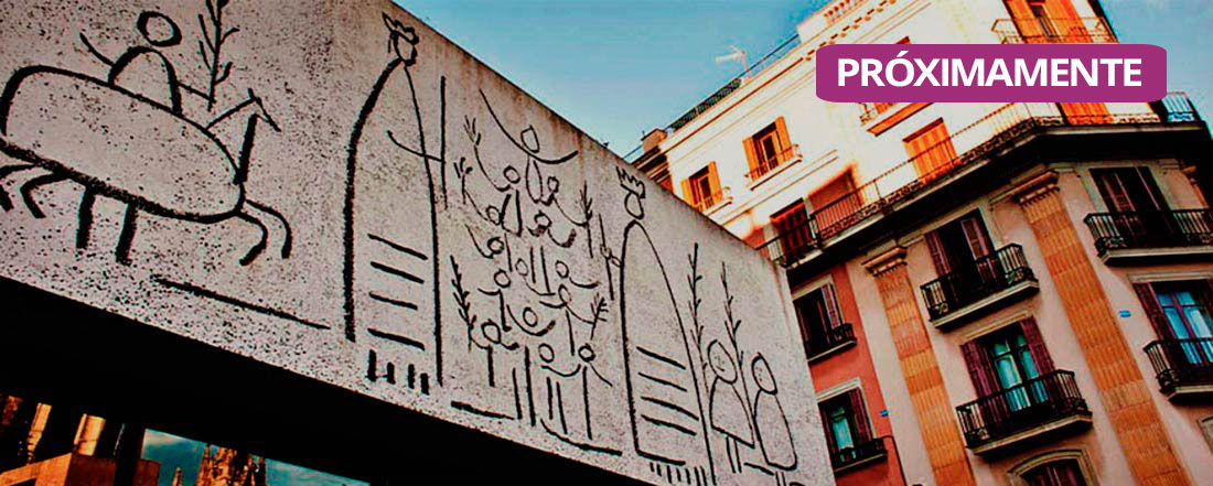 Imagen Actividad