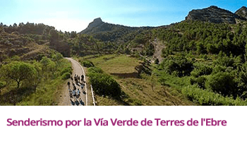 Imagen de un tramo de la via verde de Terres de l'Ebre con los participantes. Fotografía tomada desde el aire.